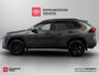 2020 Toyota RAV4 LE-1