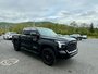 2025 Toyota TUNDRA CREWMAX LIMITED Limited-6