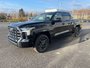 Toyota Tundra CREWMAX PLATINUM 2025-0