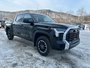 2025 Toyota Tundra CREWMAX SR-6