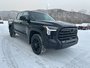 2025 Toyota Tundra CREWMAX LIMITED-6