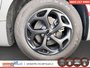 2025 Chrysler Pacifica Hybrid LIMITED S APPEARANCE