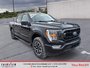 2023 Ford F-150 XLT sport