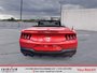 2025 Ford Mustang Eco sport premium