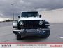 2023 Jeep Wrangler Willys