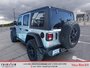 2024 Jeep Wrangler Willys Dual top group
