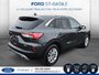 2020 Ford Escape SE AWD-4