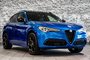 Alfa Romeo Stelvio VELOCE Q4 TOIT PANORAMIQUE NAV CAMERA 2022-7