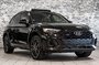 2021 Audi Q5 TECHNIK S-LINE BLACK OPTIC QUATTRO BANG & OLUFSEN-10