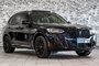BMW X3 XDrive30i AWD PREMIUM ENHANCED M SPORT PKG NAVI 2023-8