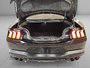 Ford Mustang GT 5.0 COUPE 6 VIT. MAN. APPLE CARPLAY CAM 2024-10