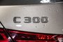 Mercedes-Benz C-Class C 300 4MATIC NIGHT & PREMIUM & TECHNOLOGIE PKG 2022-14