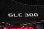 2018 Mercedes-Benz GLC 300-10
