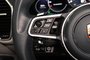 2023 Porsche Cayenne PLATINUM EDIT PREMIUM PACKAGE BOSE HUD CAM360 TOIT-27