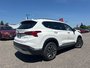 2021 Hyundai Santa Fe Hybrid Luxury-4