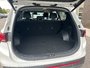 2023 Hyundai Santa Fe Hybrid Luxury-6