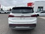 2023 Hyundai Santa Fe Hybrid Luxury-5