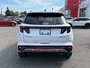 2024 Hyundai Tucson Hybrid N-Line-5