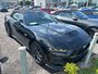 2024 Ford Mustang GT PREMIUM CUIR ROUGE MANUELLE 1 OWNER NO CARFAX CLAIM
