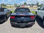 2024 Ford Mustang GT PREMIUM CUIR ROUGE MANUELLE 1 OWNER NO CARFAX CLAIM