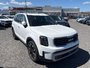 Kia Telluride SX LIMITED BLANC CUIR ROUGE RARE 2023