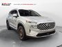 2021 Hyundai Santa Fe Hybrid Luxury-1