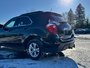 2013 Chevrolet Equinox 1LT-11