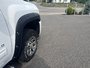Chevrolet Silverado 1500 LS CHEYENNE EDITION 2010-3