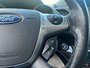 2014 Ford Escape TITANUIM-10