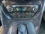 2014 Ford Escape TITANUIM-13