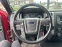 2013 Ford F-150 Éco Boost-7