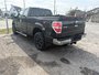 Ford F-150  2013-3