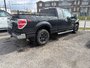 Ford F-150  2013-4