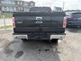 Ford F-150  2013-5