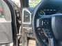 2018 Ford F-150 XLT FX4-13