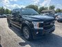 2018 Ford F-150 XLT FX4-0