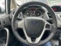Ford Fiesta SE 2011-7