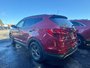 Hyundai Santa Fe Sport PREMIUM 2014-4