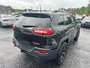 2016 Jeep Cherokee TRAILHAWK-2