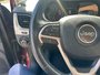 Jeep Cherokee NORTH 2016-8