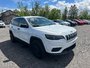 Jeep Cherokee SPORT 2019-0