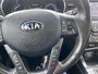 2013 Kia Optima PREMIUM HYBRID-11