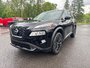 Nissan Rogue SV 2023-19