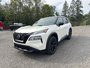 Nissan Rogue SV 2023-19