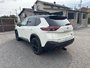 Nissan Rogue SV 2023-13
