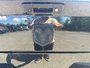 Ram 1500 OUTDOORSMAN 2017-9