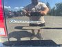 Ram 1500 OUTDOORSMAN 2017-8