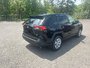 2022 Toyota RAV4 LE-1