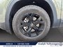 Volkswagen Atlas Peak Edition 2.0T | No Accidents | One Owner 2025