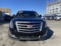2019 Cadillac Escalade Premium Luxury FULL SIZE, 4WD, DVD, HEATED AND COOLED LEATHER, SUNROOF, CAPTAIN SEATS, LOW KM-5